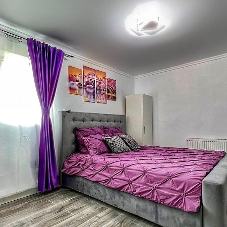 Luxor Ultra-Central Apartments Sibiu Dış mekan fotoğraf