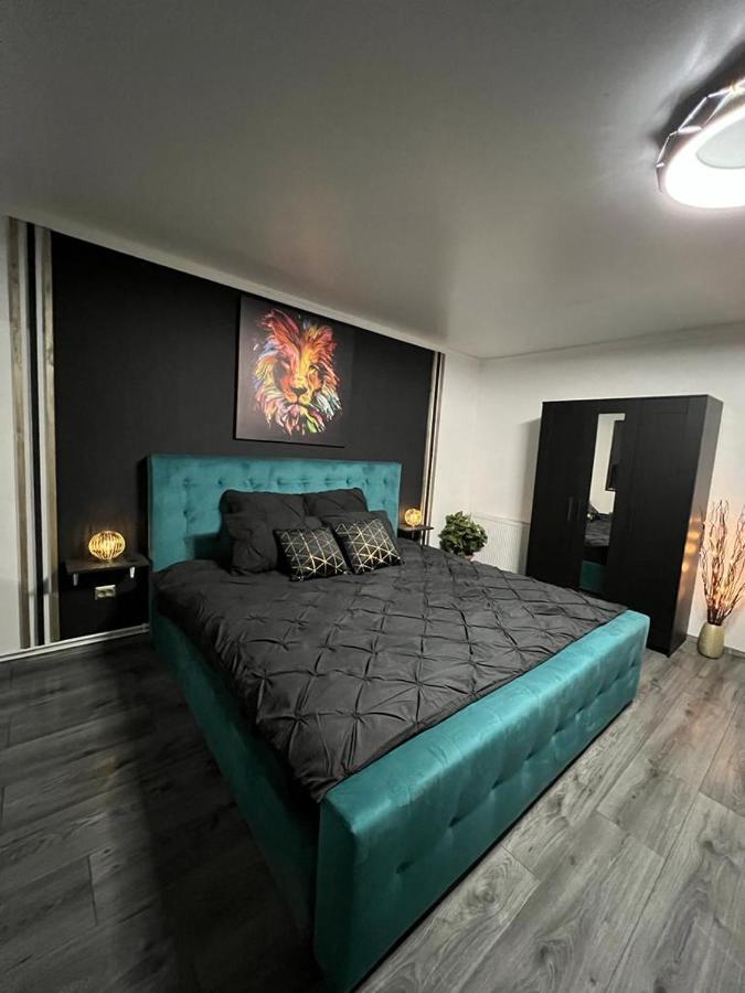 Luxor Ultra-Central Apartments Sibiu Dış mekan fotoğraf